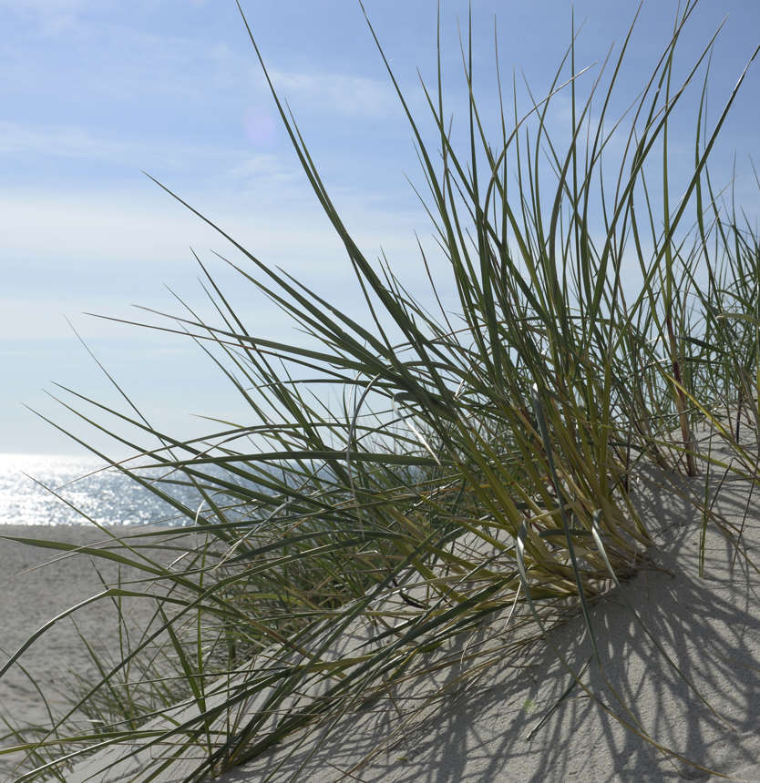 Fibernettet klar til flere udbydere i 2022